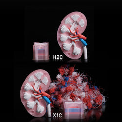 Bambu Lab - H2C AMS Combo - Système Vortek Multi-Matériaux Intelligent et Econome en Purge