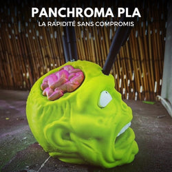 Panchroma Basic PLA - Vert Citron (Lime Green) - 1,75 mm - 1 kg